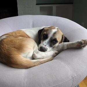 Fundraising Page: Rachel Weisberger